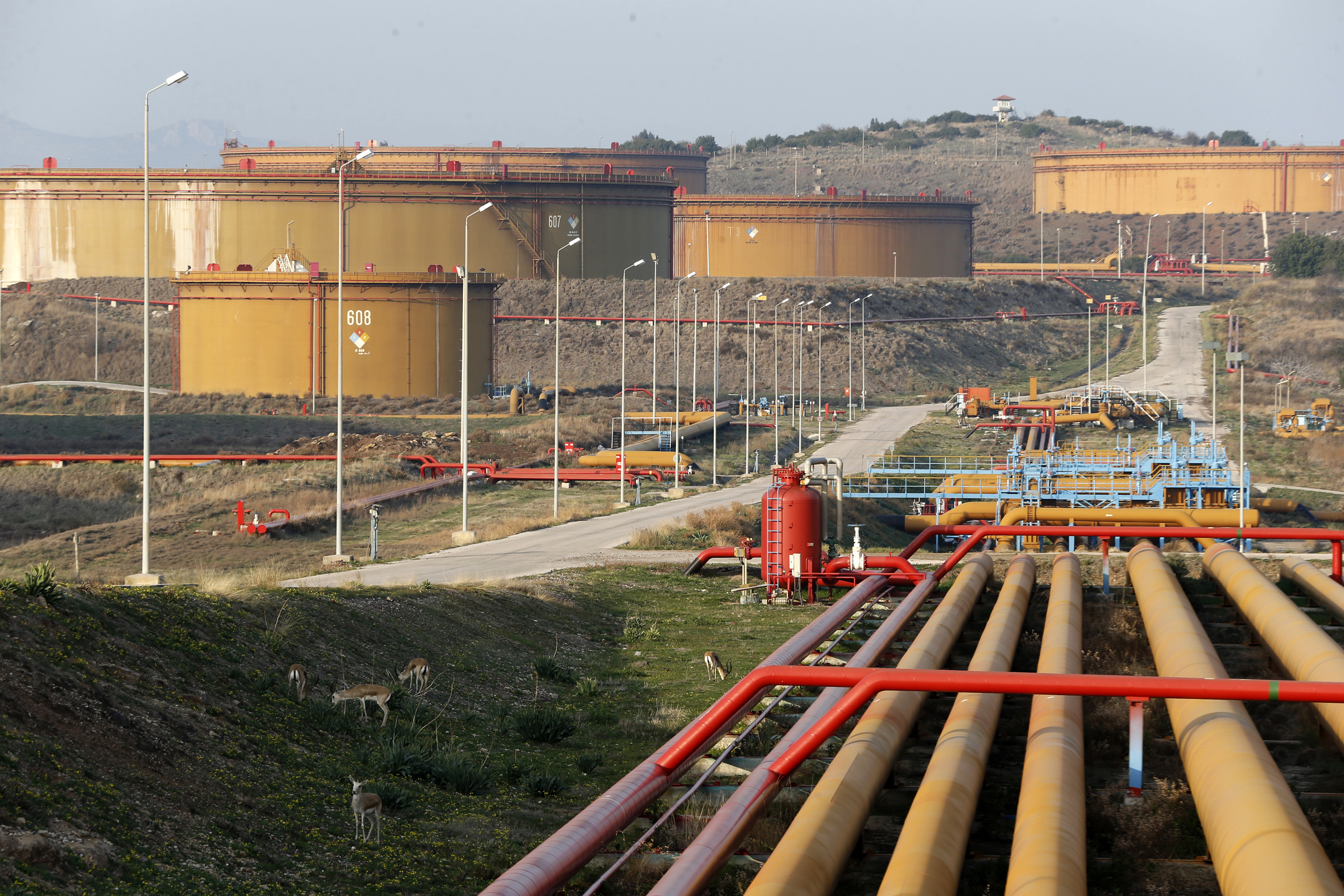 S&P estimates impact of Türkiye quake on oil supplies from Azerbaijan